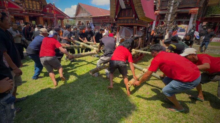 Mężczyźni w czerwonych koszulkach i inni ludzie niosą bambusowe tyczki podczas rytuału na Sulawesi