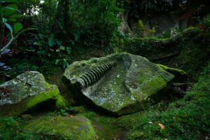Ludzie badający starożytne megalityczne ruiny w dżungli z narzędziami.